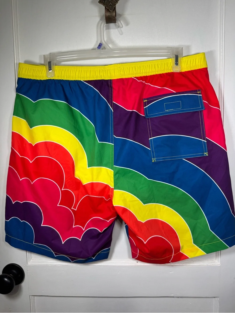 Psycho Bunny Men’s Rainbow Wave Swim Shorts - Red, Yellow, Green, Blue, Purple